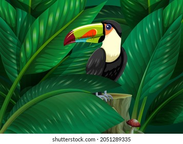 Toucan hidden in the tropical leaves background illustration