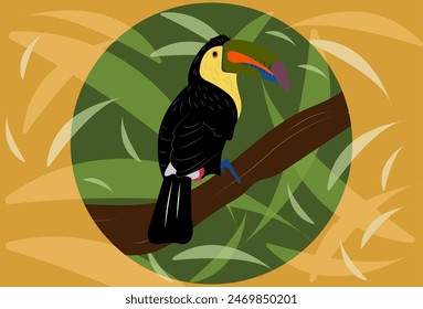 Toucan in his own habitat 
