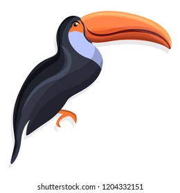 Toucan icon. Cartoon of toucan vector icon for web design isolated