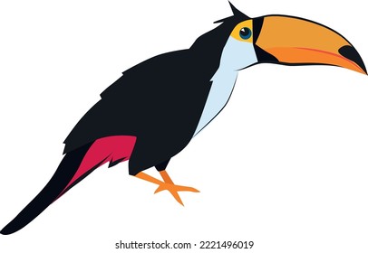 Toucan icon. Exotic wild bird. Zoo animal