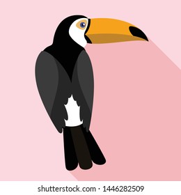 Toucan icon. Flat illustration of toucan vector icon for web design