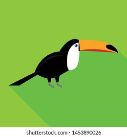 Toucan icon. Flat illustration of toucan vector icon for web design