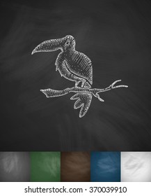 toucan icon. Hand drawn vector illustration