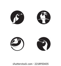 Toucan Icon And Symbol Vector Template