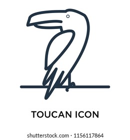 Toucan icon vector isolated on white background, Toucan transparent sign , thin pictogram or outline symbol design in linear style