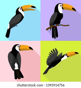 Toucan icons set. Flat set of toucan vector icons for web design