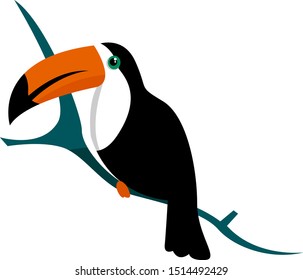 Toucan, illustration, vector on white background.
