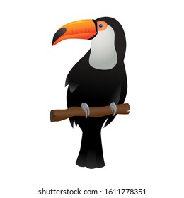 Toucan isolated on white background - vector illustration art. 