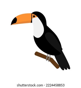 Touch einzeln auf weißem Hintergrund. Vektorgrafik von tropischem Vogel. Flachbildklammer