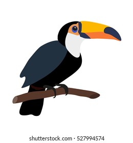 Toucan isolated on white background. Vector illustration