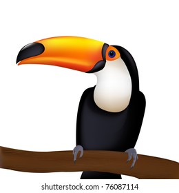 Toucan, Isolated On White Background, Vector Illustration