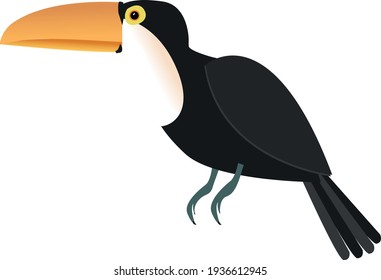 toucan isolated vector. pretty bird for your design ideas. 