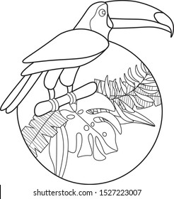 Toucan in jungle illustration. Toucan logo template. Toucan in jungle black isolated on white background.  Toucan with jungle leafs in circle.