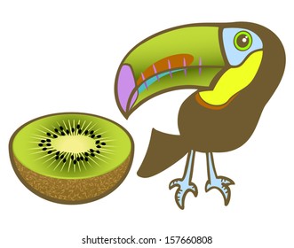 Toucan and kiwi