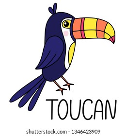 Toucan lettering vector illustration. Template for summer sale banner, party invitation card, poster, print with exotic bird. EPS10