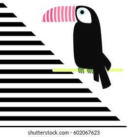 toucan lines  background vector illustration