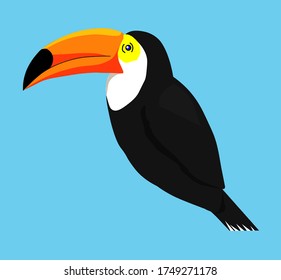 logotipo de toucan 