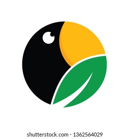 Toucan  Logo Design