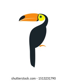 Toucan logo. Isolated toucan on white background