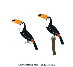 Toucan logo. Isolated toucan on white background 