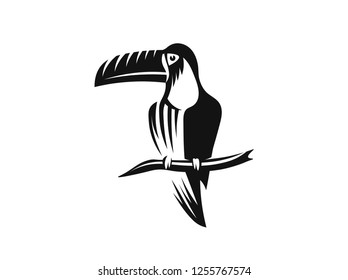 Toucan logo on white background