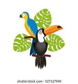 toucan and macaw birds over green leaves and white background. brazilian culture concept. colorful design. vector illustration