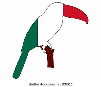 Toucan Mexico