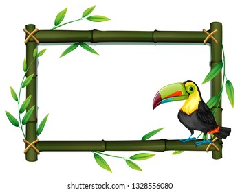 Toucan on bamboo border illustration