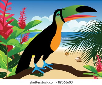 Toucan on the beach EPS 8 vector, grouped for easy editing.