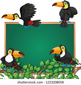 Toucan on blackboard frame illustration