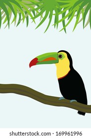Toucan on a branch