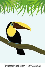 Toucan on a branch