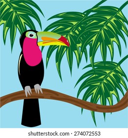 toucan on branch