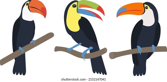 Toucan auf Zweighintergrund, einzeln, Vektorgrafik