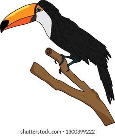 Toucan on a branch, a bird on a tree branch, a tropical bird on a tree in the vector.
