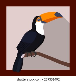 Toucan on a branch in flat style - vector illustration