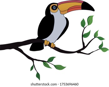 Toucan on a branch flat vector illustration