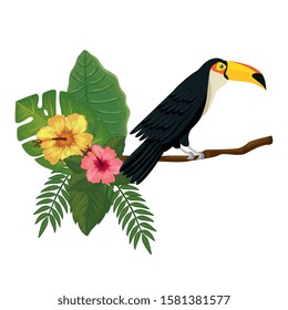 toucan on branch with leafs and flowers vector illustration design