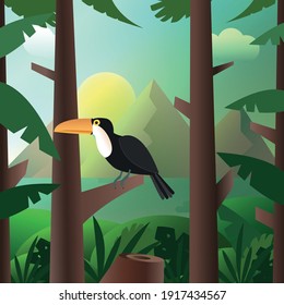 toucan on the branch tropic forest