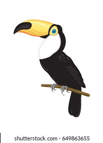 Toucan on branch. Tropical bird vector illustration on white background.
