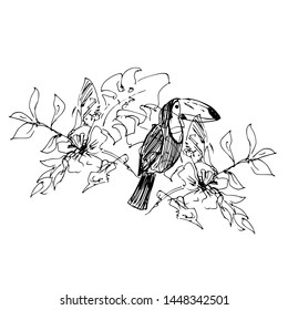 Toucan on a branch with tropical plants. Vector illustration.