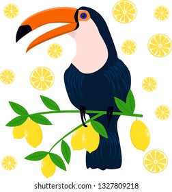 toucan on citrus background - vector illustration, eps