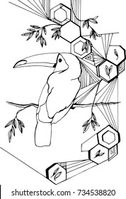 
toucan on a graphic background in the style of minimalism with honeycomb