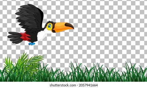 Toucan on the grass field on transparent background illustration