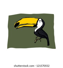 Toucan on green background.