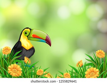 A toucan on nature background illustration