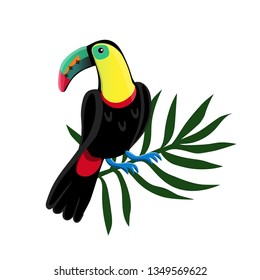 toucan on palm leaf isolated windmill image on white background