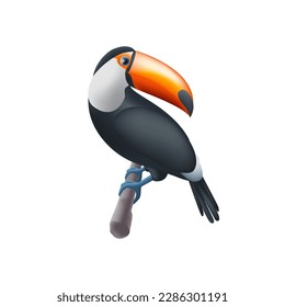 Toucan on a tree branch 3d render illustration isolated on a white background. Realistic (Ramphastos sulfuratus) national bird of Belize.