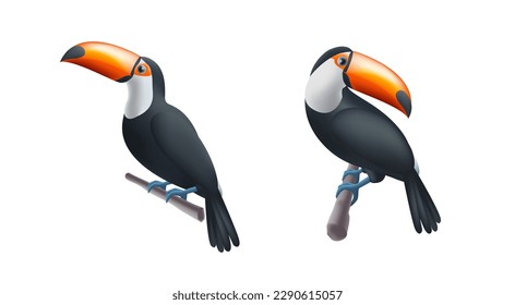 Toucan auf einem Baumzweig 3d Rendering Illustration einzeln Satz, zwei Vögel Position. Realistischer Nationalvogel von Belize.