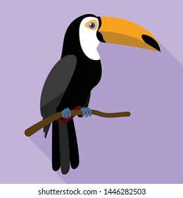Toucan on tree branch icon. Flat illustration of toucan on tree branch vector icon for web design